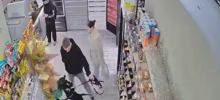 В Краснодаре собака в присутствии хозяина укусила ребёнка за лицо