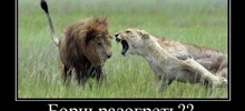 Демотиваторов пост