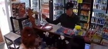 Мужчина разбил бутылку о голову продавщицы