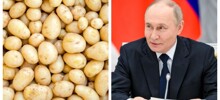 Владимир Путин удивился дефициту картофеля в Белоруссии