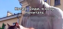 Смешные картинки