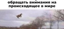 Скрины из соцсетей 