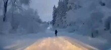 "Да здравствует наш суд, самый гуманный суд в мире!"