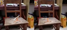 Заскучавший китайский мужчина собрал игрушку-воина