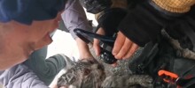 Пожарный спас кота