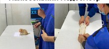 Скрины из соцсетей