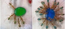 Нестандартное развлечение для тех, кому скучно