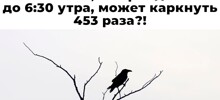 Большая тарелка улыбатора