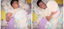 Забавная реакция мальчика, получившего в подарок щенка
