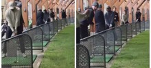 Гольфист разыграл других игроков