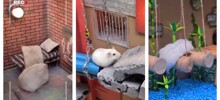 Побег хомяка из тюрьмы