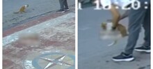 Мужчина пришёл на помощь коту