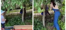 Сотрудница детского сада прогнала наглого закладчика