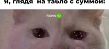 Смешные картинки