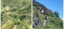 Медведь сбежал от слишком эмоциональной туристки в горах на Ставрополье