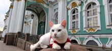 Эрмитажные коты получили неожиданное наследство