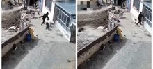 Не растерялся