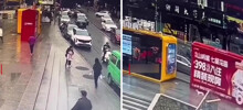 В Японии давно потерявшаяся собака нашла хозяйку по запаху в центре мегаполиса