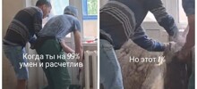 Хорошо, что тазик поставили