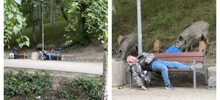 Единение с природой в Польше