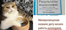 Мероприятель и клюкало: и опять каламбуры и лингвошутки