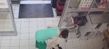 Хаски не захотел покидать магазин в жаркий день