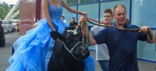 Школьница приехала на выпускной на корове