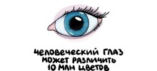 А вдруг ты не знал…