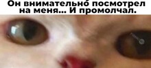 Не ищите здесь смысл. Здесь в основном маразм
