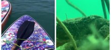 Краб нашёл смартфон на дне Чёрного моря