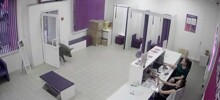 Свиньи наведались в пункт выдачи