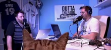 Коты врываются в прямой эфир