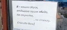 ФотоВсячина