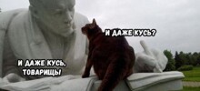 Не ищите здесь смысл. Здесь в основном маразм