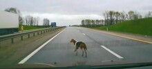 Спасти любой ценой!