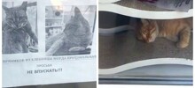 Наелся пряников и спит