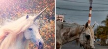 Не ищите здесь смысл. Здесь в основном маразм