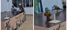Когда победа важнее правил игры