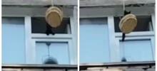 Спасение котенка в Томске