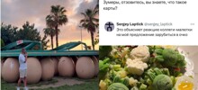 Этанол красоты: каламбуры и лингвошутки