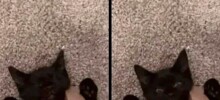 Скрины из соцсетей