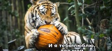 Скрины из соцсетей