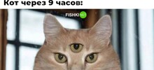 Скрины из соцсетей