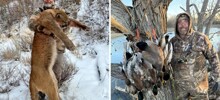 В ЮАР буйвол убил охотника за трофеями