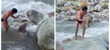 В Индии парень спас обезьяну, которую чуть не унесло течением