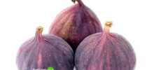 Скрины из соцсетей