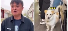 Талантливый китаец пародирует животных и птиц так, что те начинают ему отвечать
