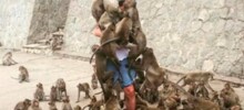 Не ищите здесь смысл. Здесь в основном маразм