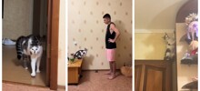 Оценка кота в жанре "тыгыдык": научный подход с юмором