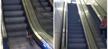 Кошка устроила себе кардиотренировку на&nbsp;эскалаторе в Турции